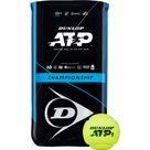 ATP Championship Tennisbälle 2x4er gelb