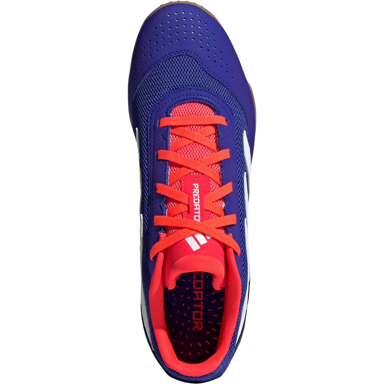 Adidas predator training shoes best sale