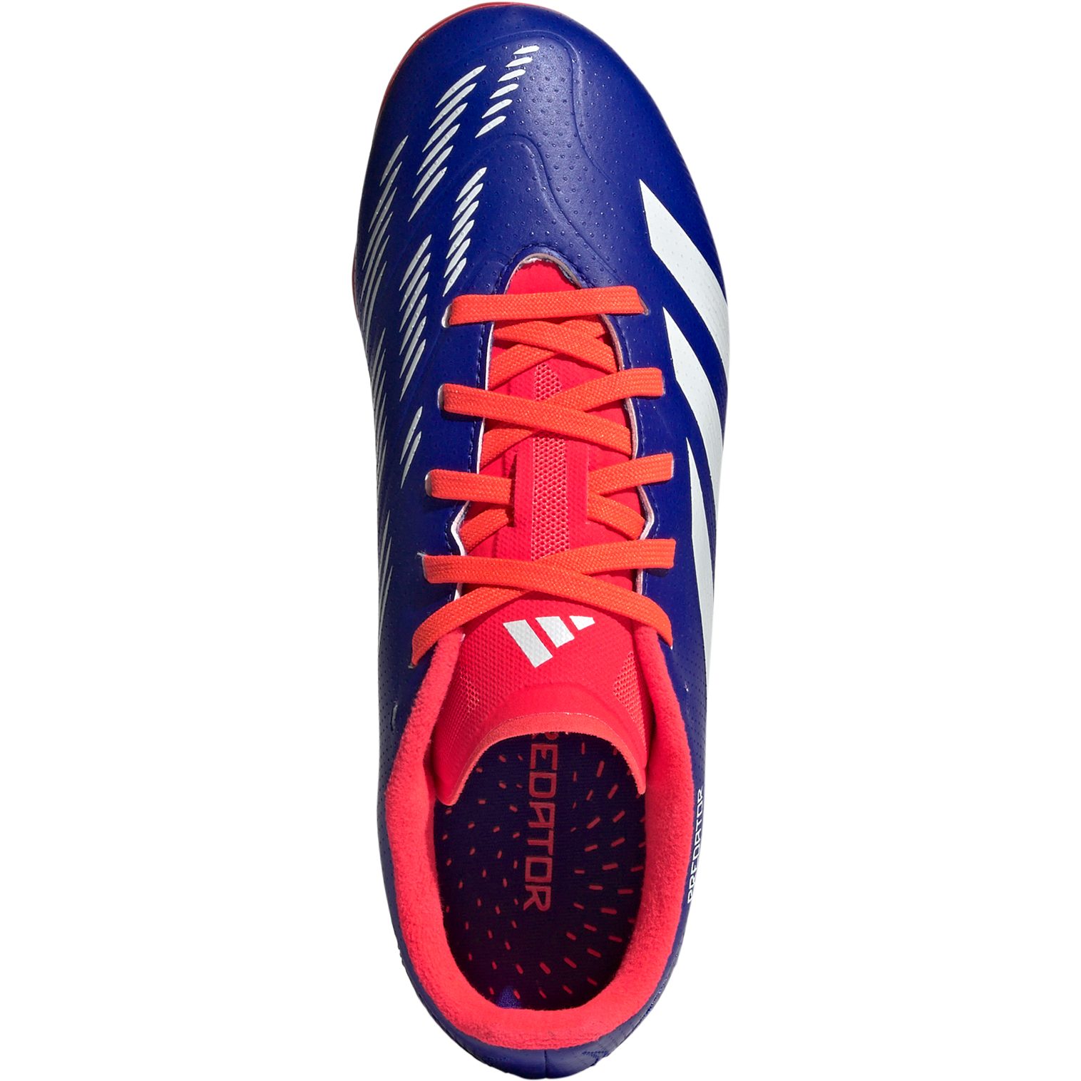 Adidas predator light blue cheap