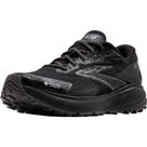 Divide 5 GORE-TEX® Trailrunningschuhe Damen schwarz