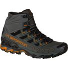 Ultra Raptor II Mid GORE-TEX® Hiking Shoes Men carbon