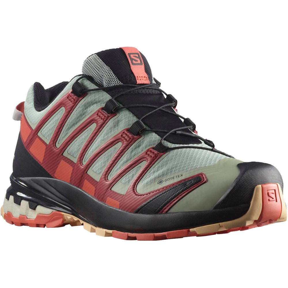 Salomon Womens Xa Pro 3D V8 GTX W Hiking Shoe 