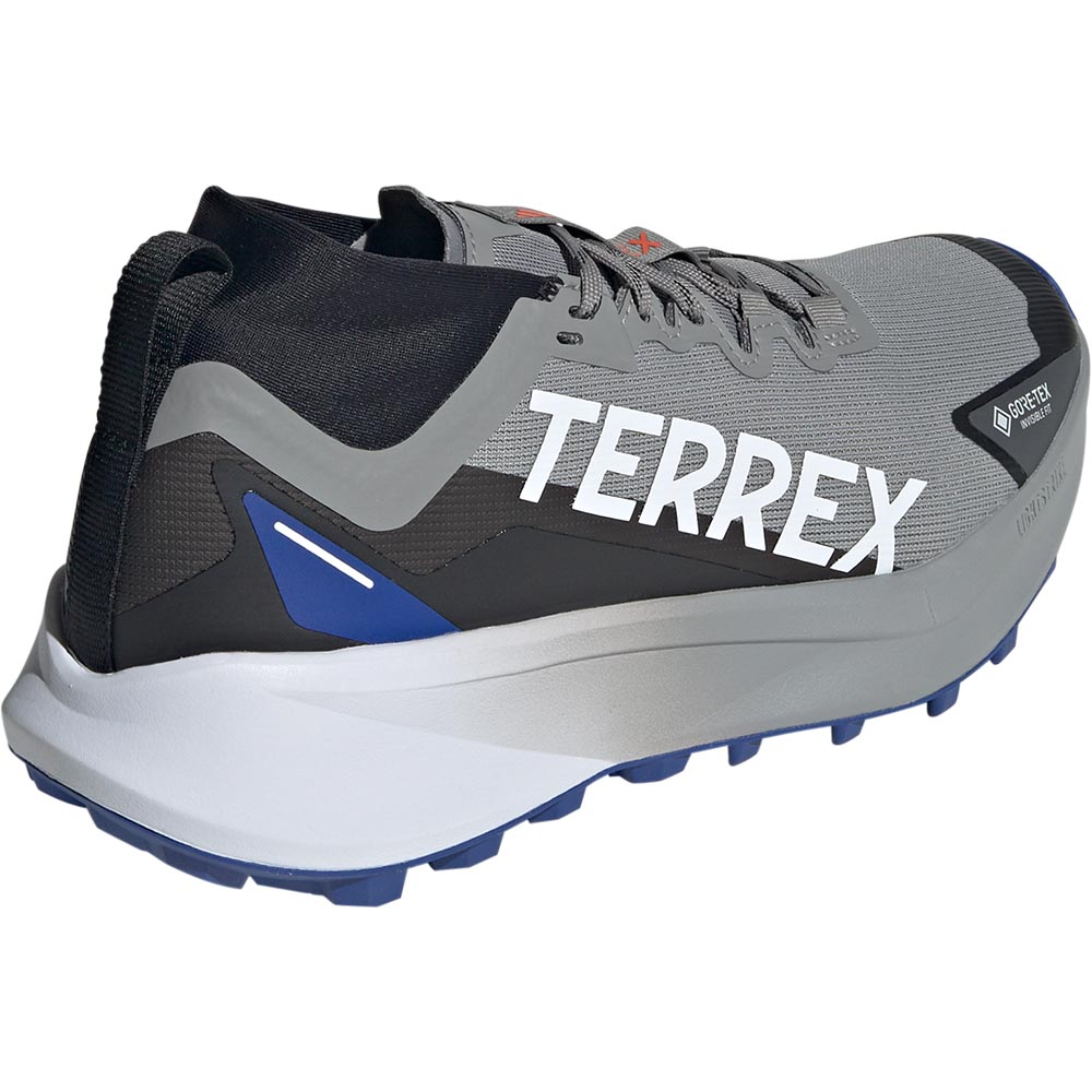 Terrex Agravic GTX Trailrunning Schuhe Herren charcoal solid grey