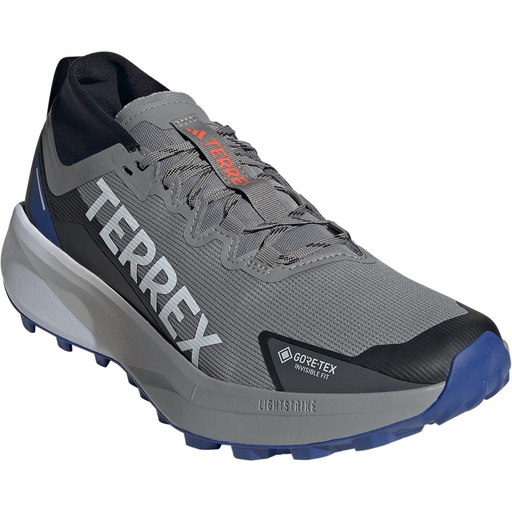 Terrex Agravic GTX Trailrunning Schuhe Herren charcoal solid grey