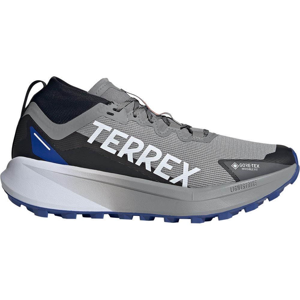 Terrex Agravic GTX Trailrunning Schuhe Herren charcoal solid grey