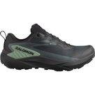 Genesis GORE-TEX® Trailrunningschuhe Herren schwarz