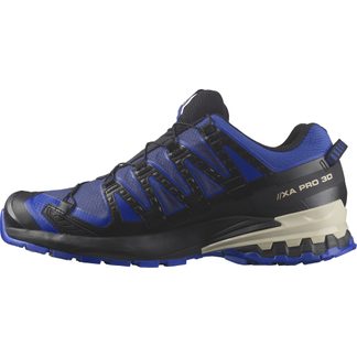 XA PRO 3D V9 GORE-TEX® Trailrunning Shoes Men blue print