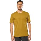 Eagle Poem Dry T-Shirt Men golden brown