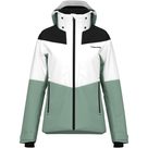 Element Ski Jacket Women nile green