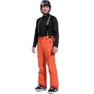 Picker-R Ski Pants Men rust